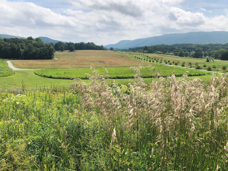 https://www.courtneyinthemiddleseat.com/wp-content/uploads/2020/07/Meadow-and-Grasses-at-Storm-King.jpg